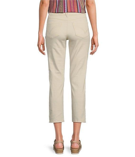 Democracy #double;Ab#double;solution® Embroidered Slim Straight Leg High Rise Cropped Jeans Product Image