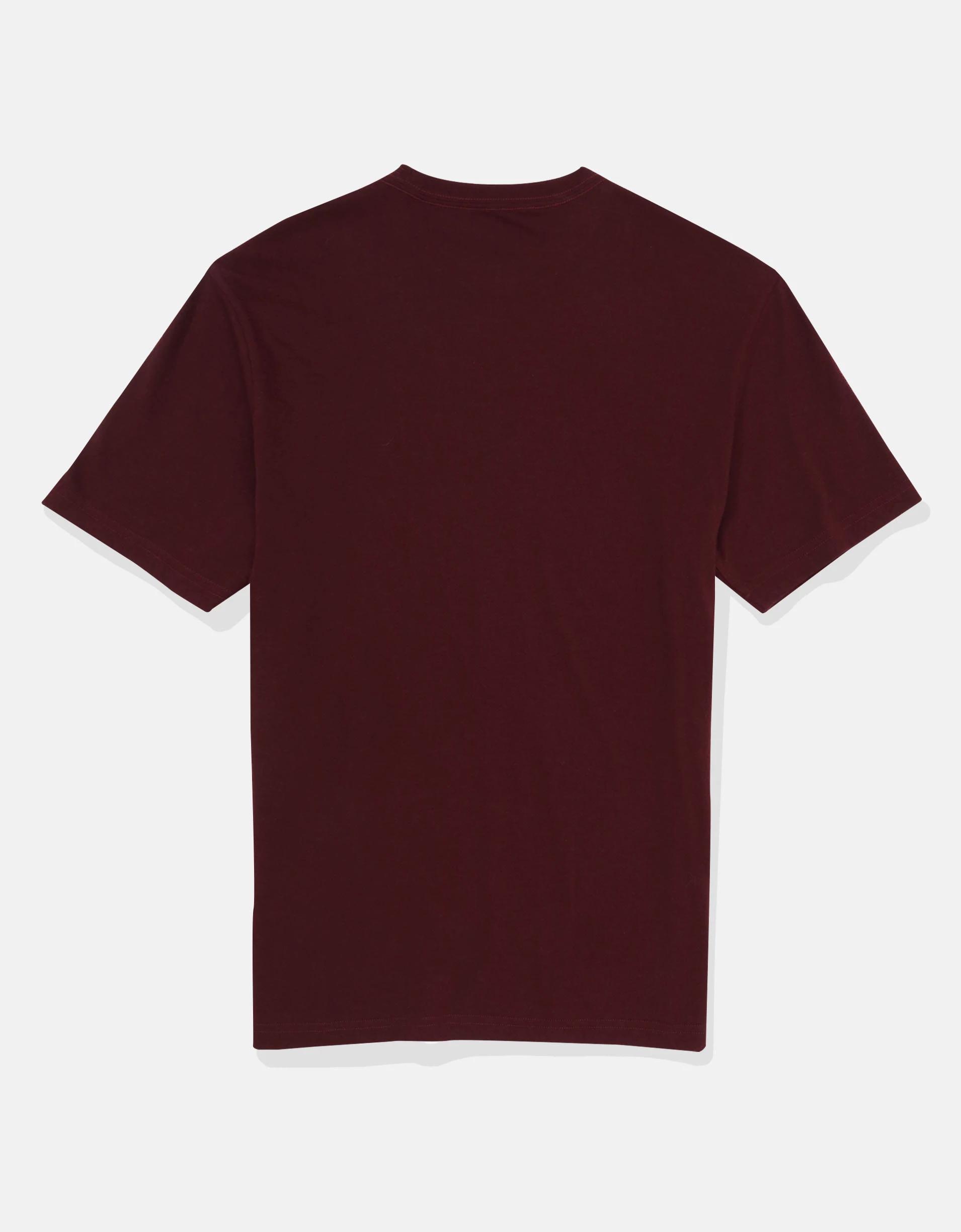 AE Icon Logo Graphic T-Shirt Product Image