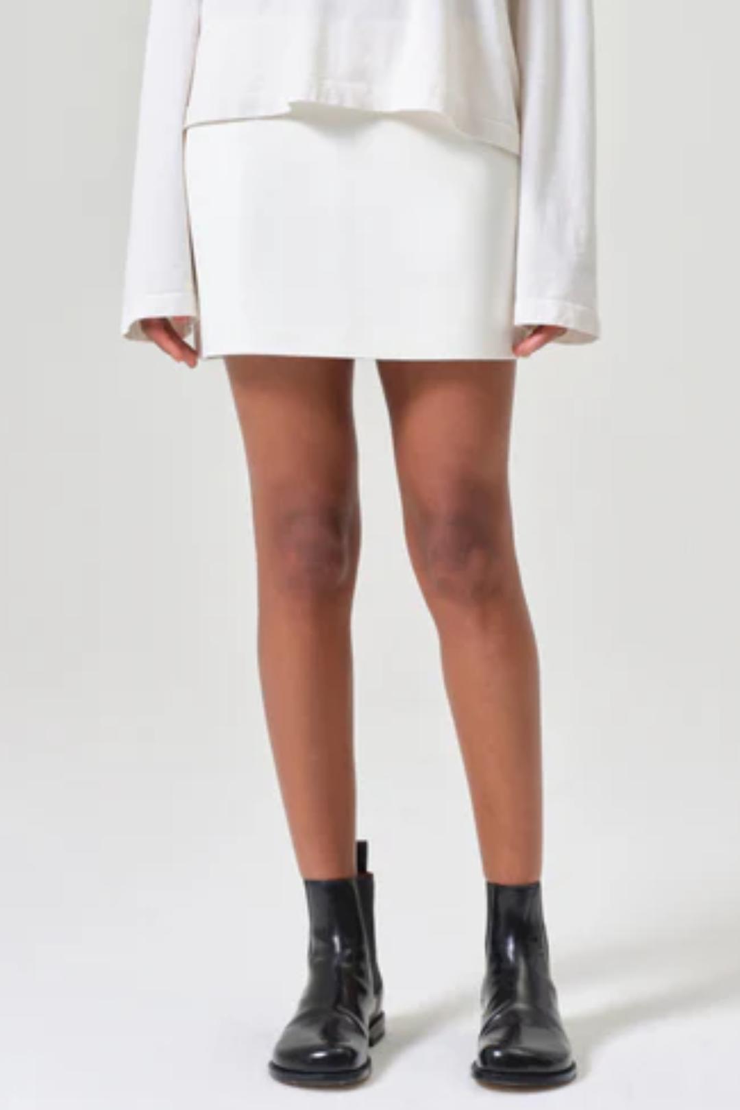 Agda Mini Leather Skirt Product Image