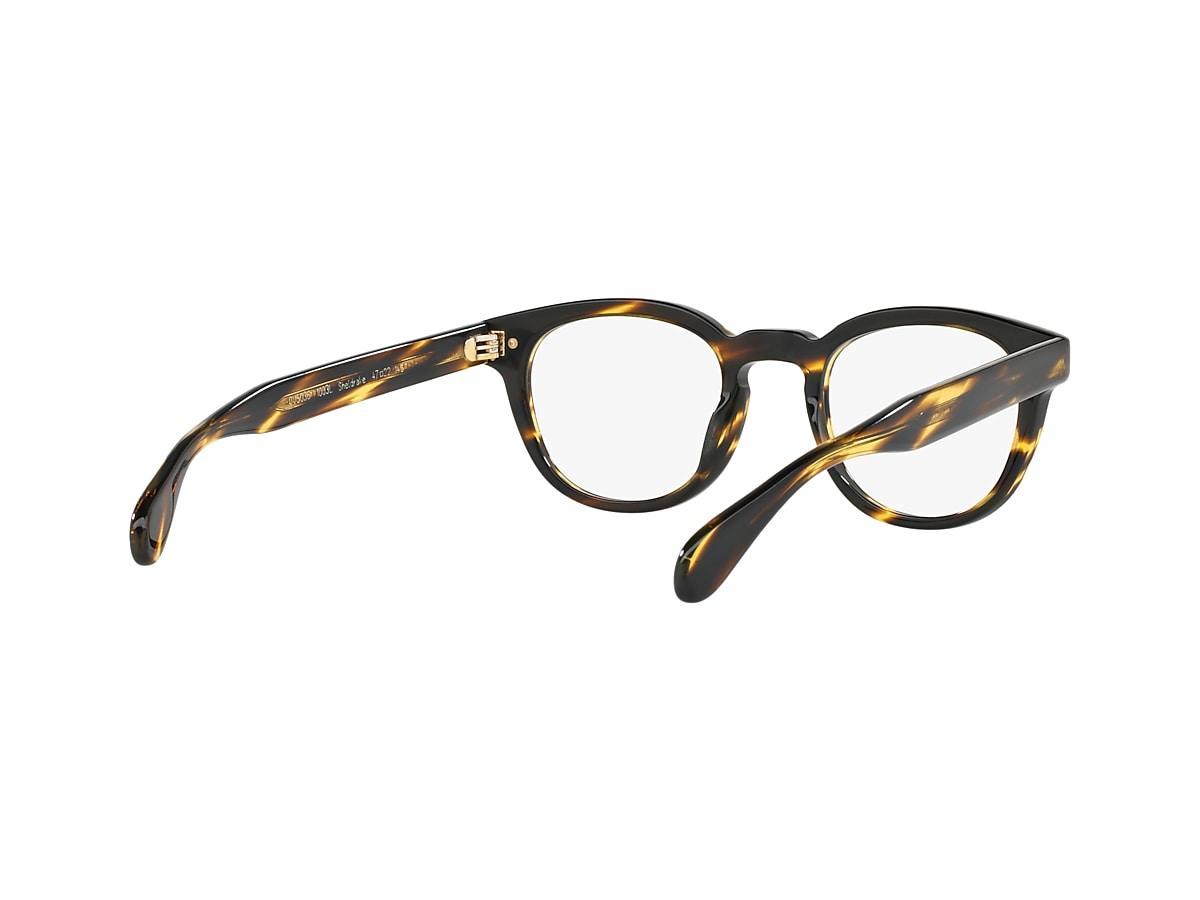 Sheldrake 0OV5036__1003L Product Image