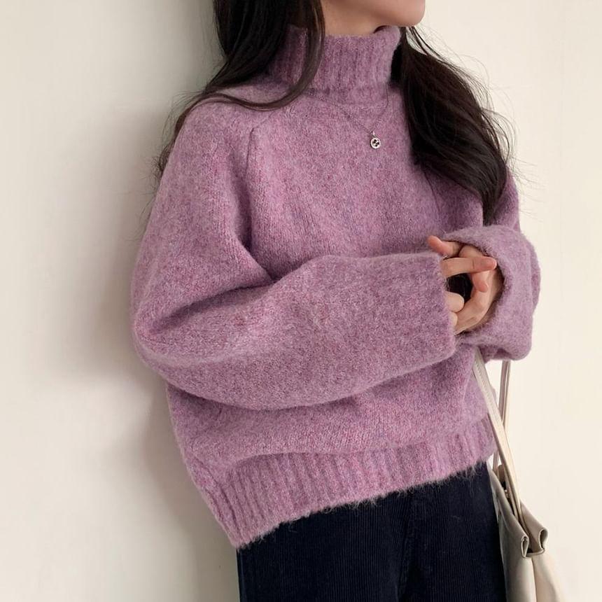 Long-Sleeve Turtleneck Plain Sweater Product Image