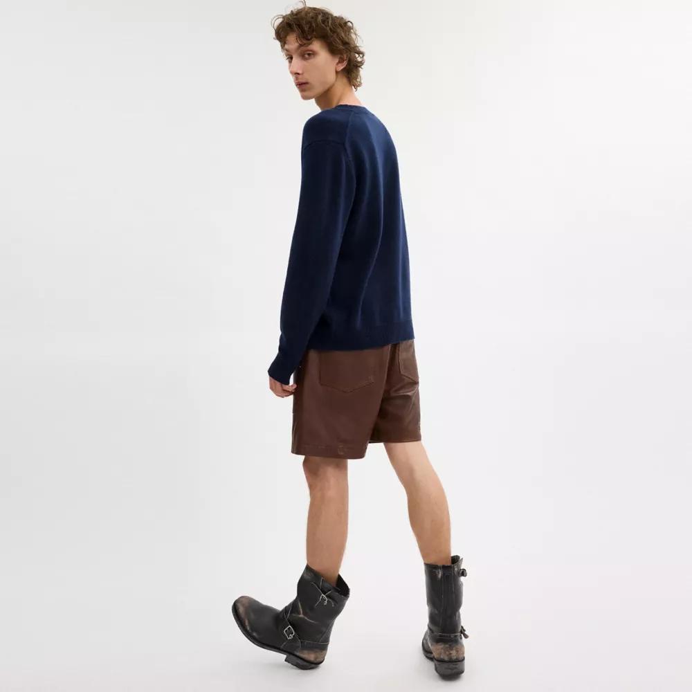 Graphic Intarsia Crewneck Sweater Product Image