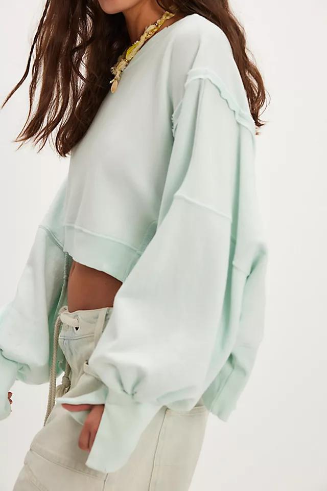We The Free Camden Cropped Sweatshirt Product Image