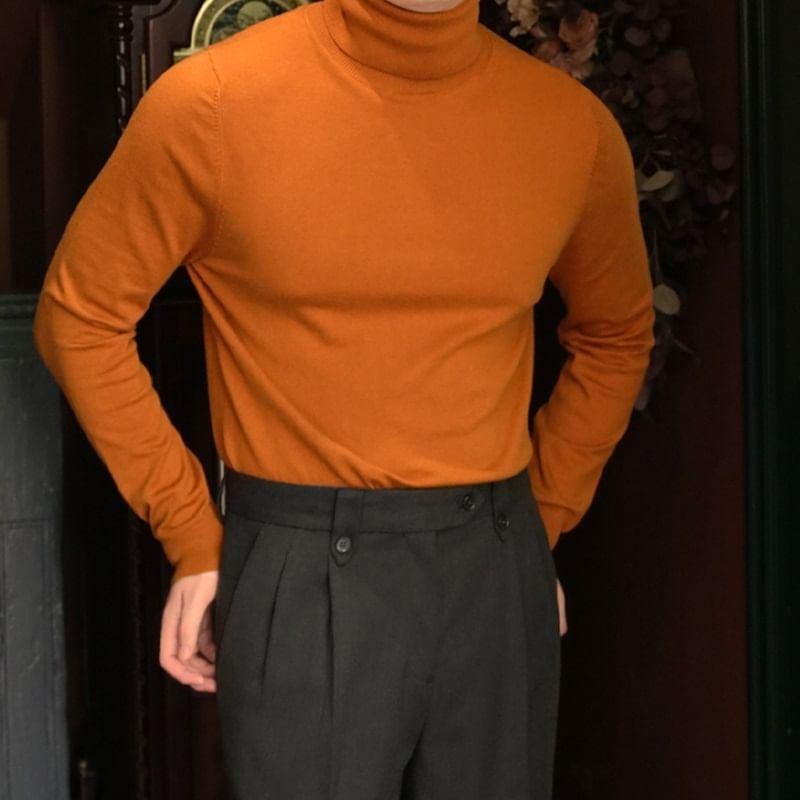 Long-Sleeve Turtleneck Plain Knit Top Product Image