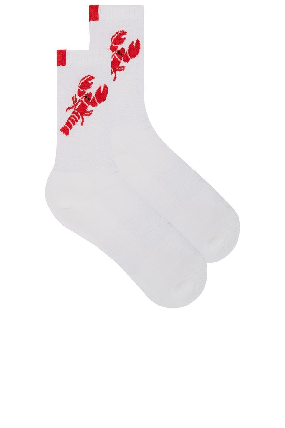 The Women's Lobster Sock Kule Product Image