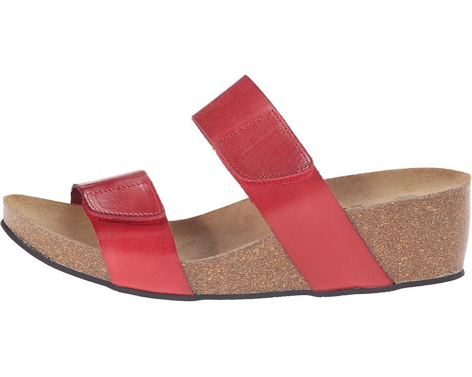 Lily 2 Product Image