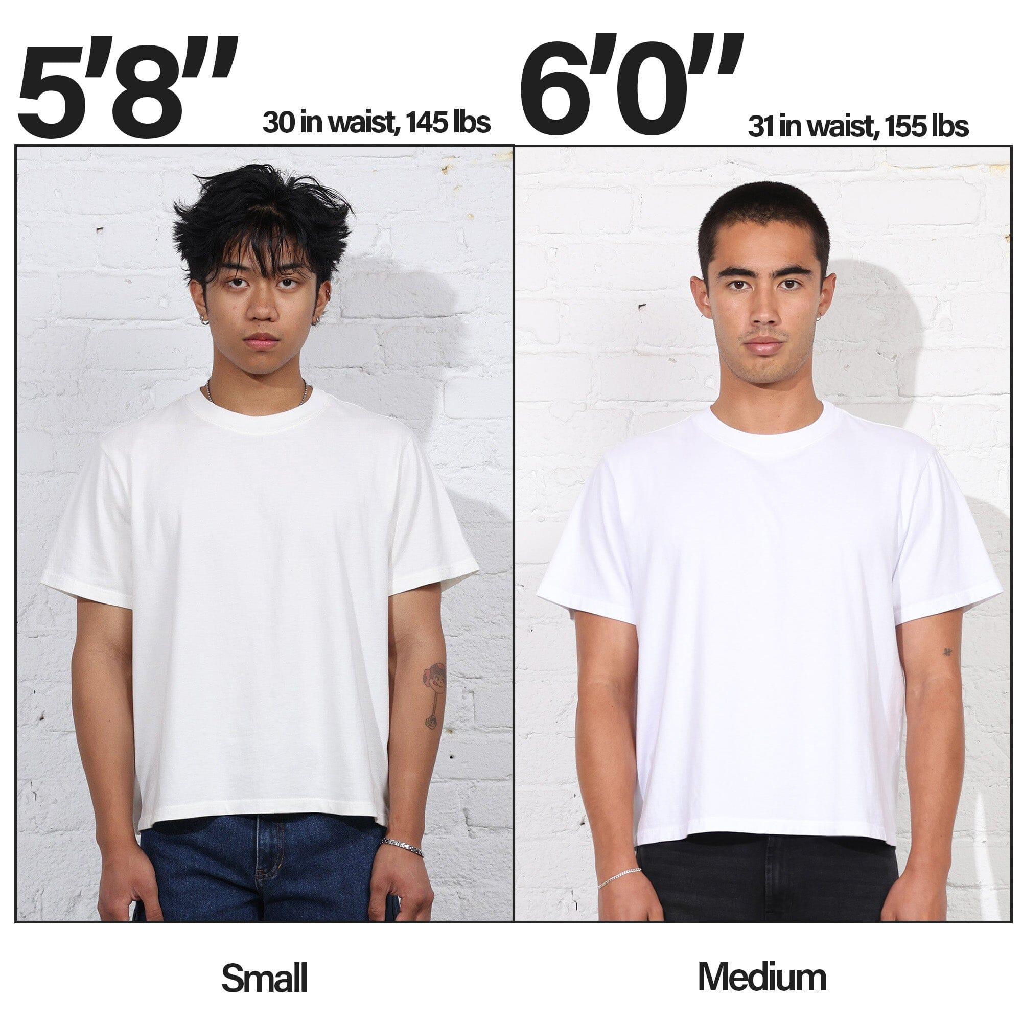 The Silverlake Crop Tee II Product Image