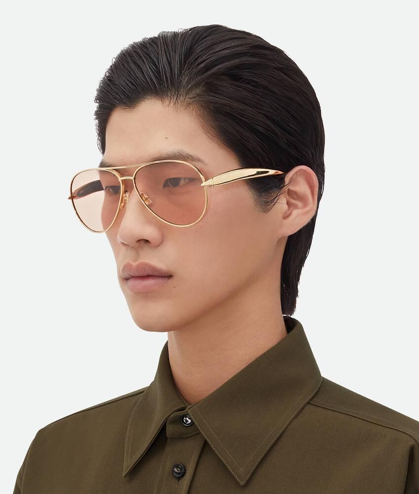 Sardine Aviator Sunglasses in Gold/brown Product Image