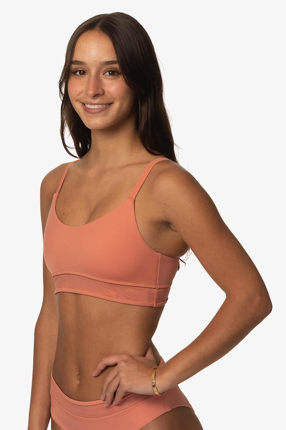 Penelope Mesh Bikini Top Product Image