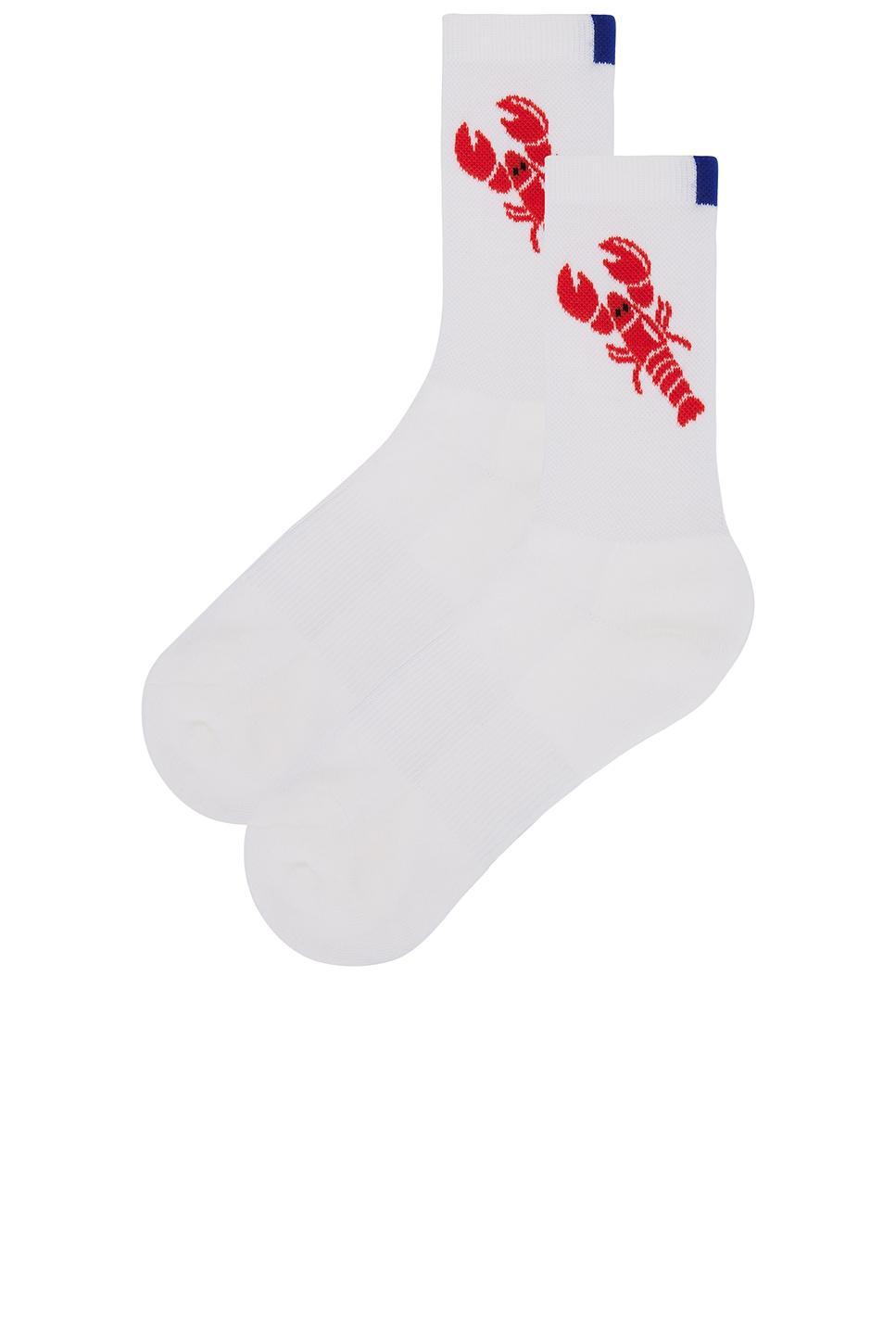 The Women's Lobster Sock Kule Product Image