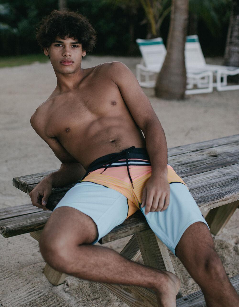 O'NEILL Lenox Stripe Mens 21'' Boardshorts Product Image