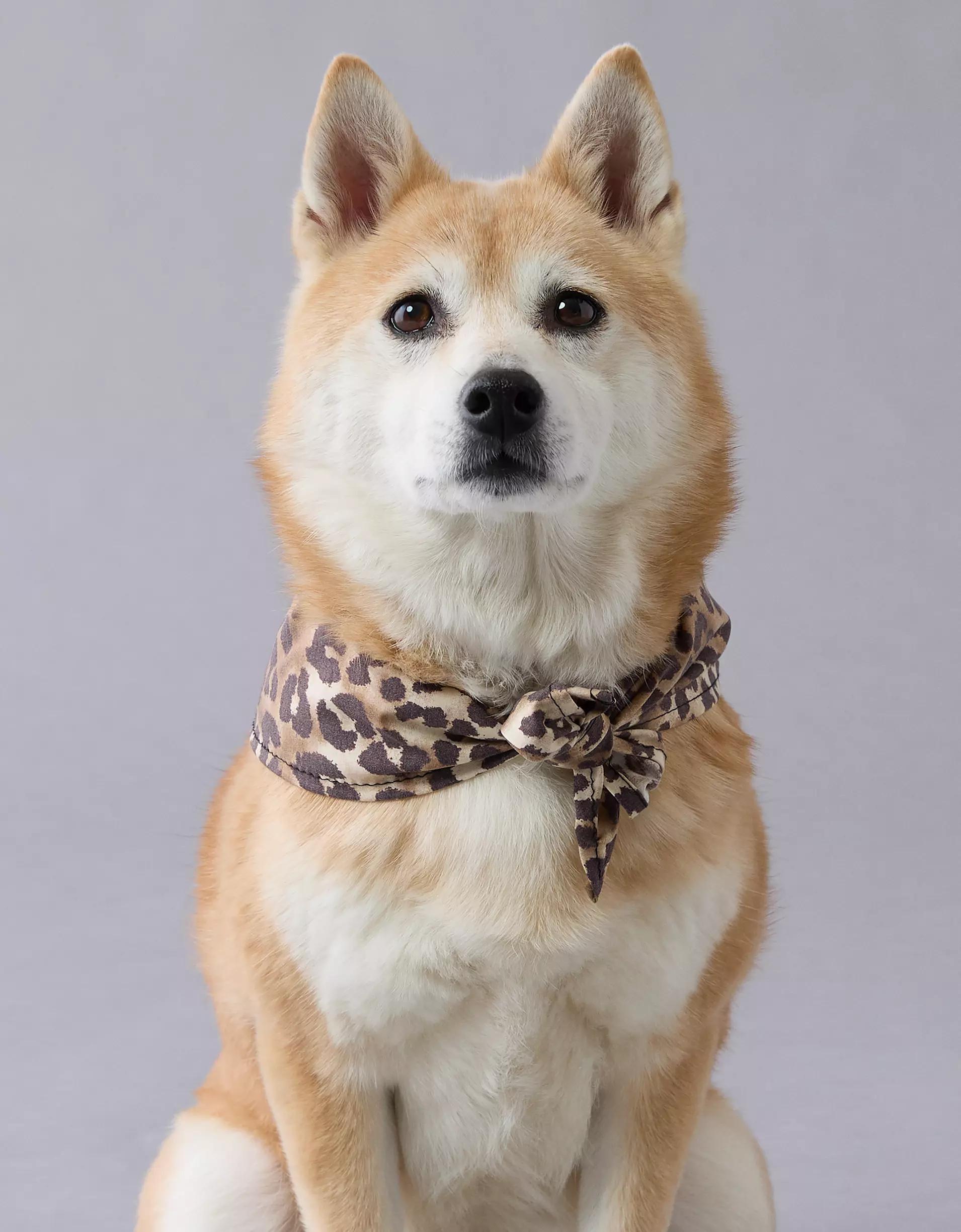 ABO Leopard Dog Bandana Product Image