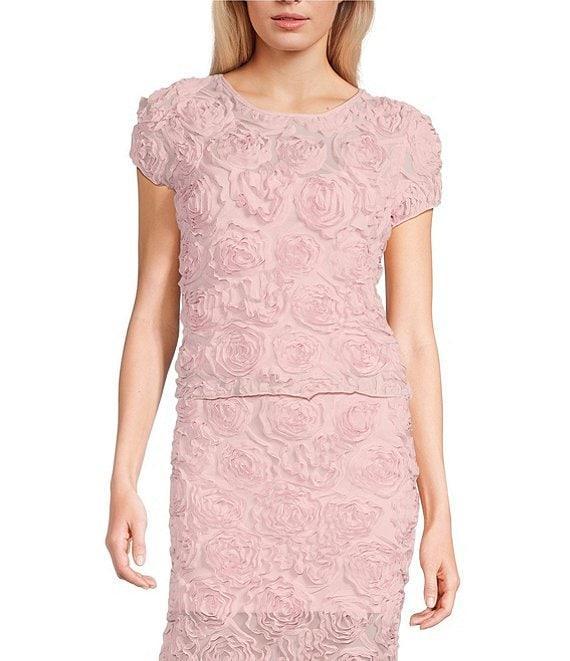 Evolutionary Rosette Print Mesh Short Sleeve Coordinating Top Product Image
