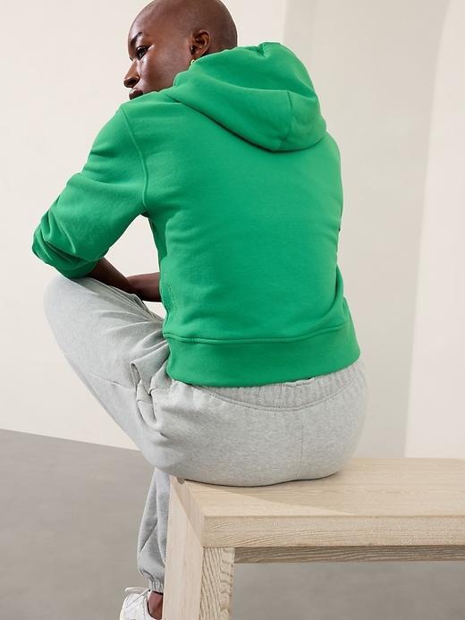 Forever Fleece Full Zip Sweatshirt Product Image