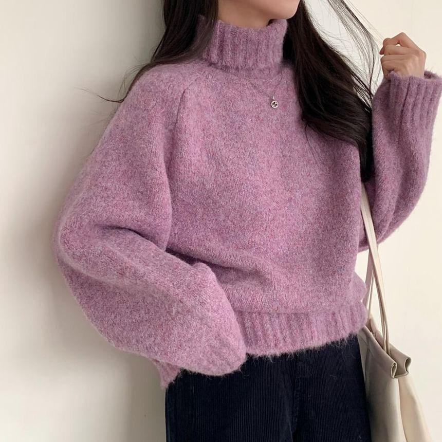 Long-Sleeve Turtleneck Plain Sweater Product Image
