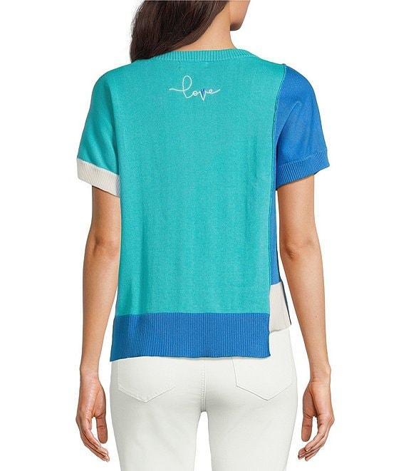 APNY Knit Color Block Crew Neck Short Sleeve Sweater Product Image
