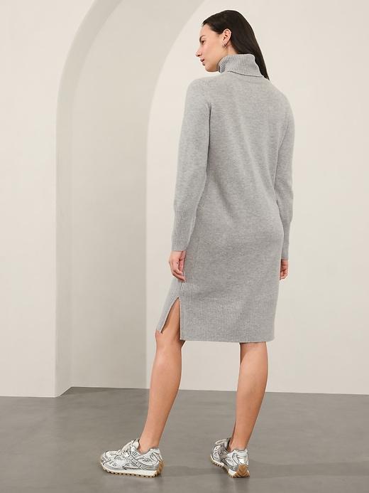 Alpine Turtleneck Sweater Dress Product Image