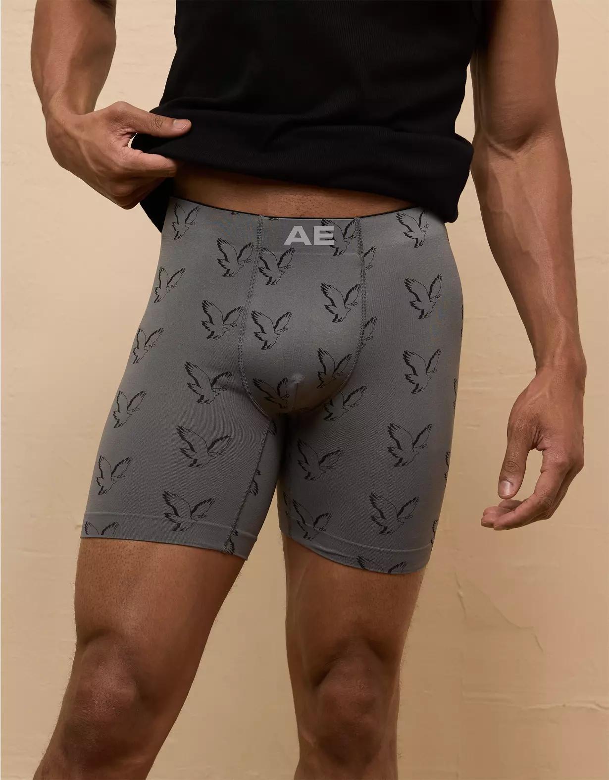 AEO Men's Gradient 6" StealthMode Boxer Brief Product Image