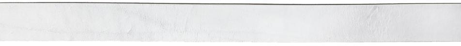 RAG & BONE Silver Boyfriend Belt In Slvr Product Image