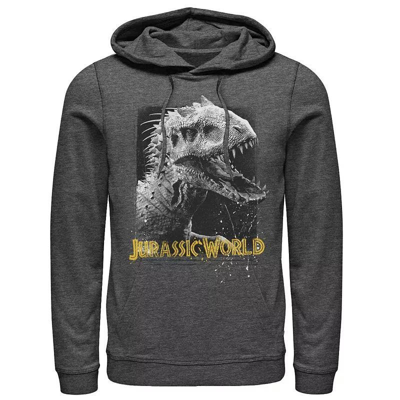 Men's Magic: The Gathering Gilded Lotus Graphic Hoodie, Size: XXL, Blue Product Image