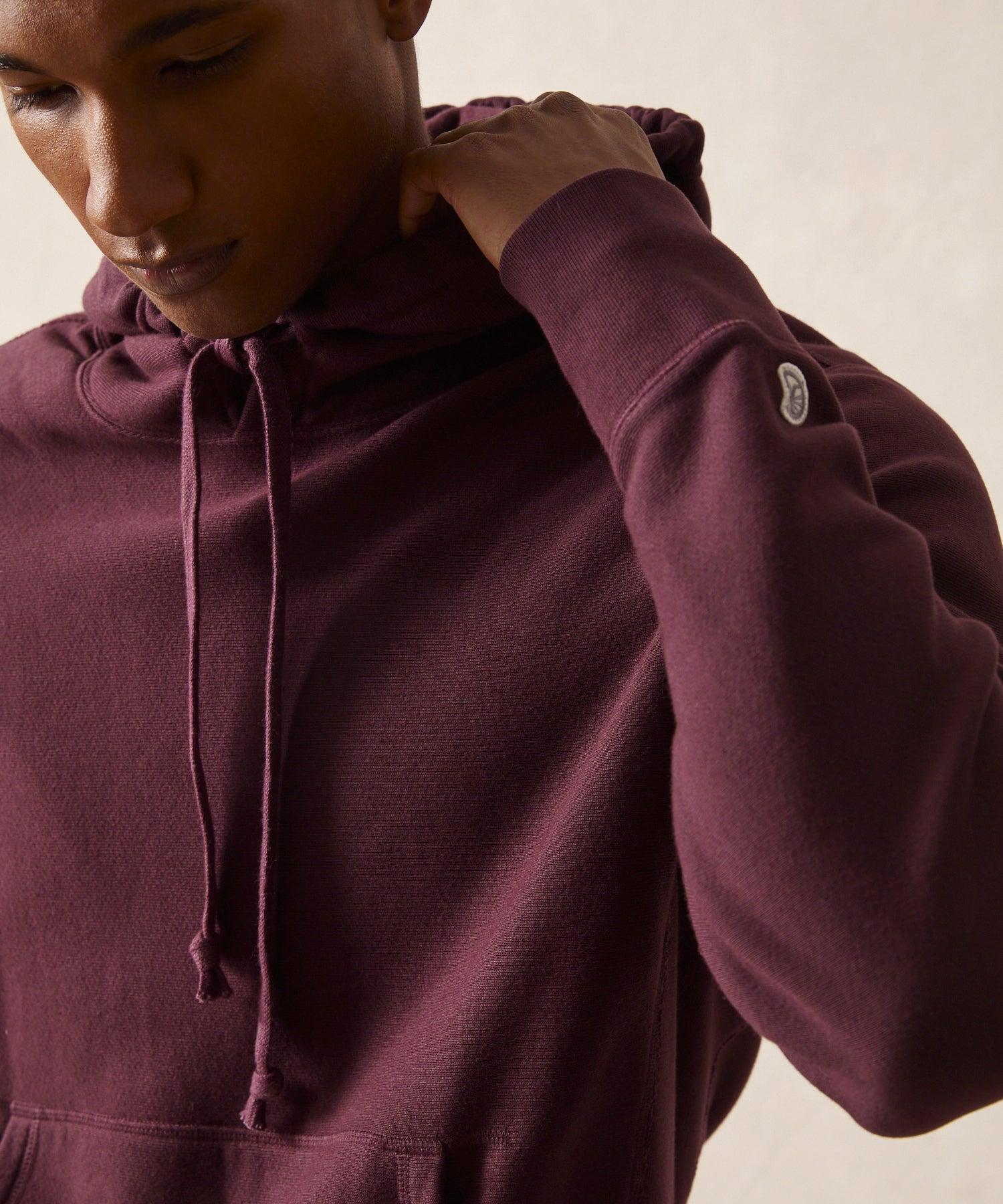 Champion Midweight Popover Hoodie Sweatshirt in Blackberry Product Image