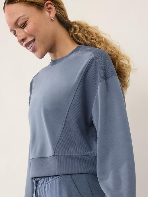 Seasoft Rib Crewneck Sweatshirt Product Image