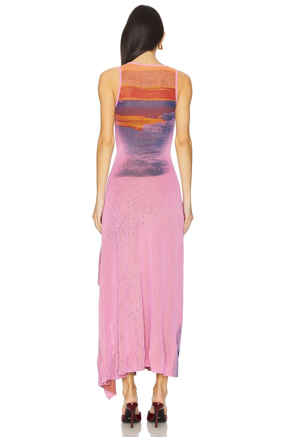 Becky Maxi Tank Dress PH5 Product Image