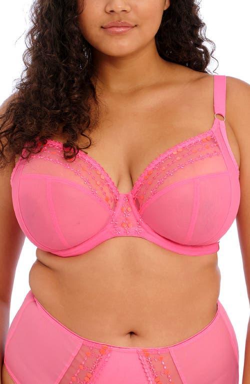 Elomi Plus Size Matilda Embroidered Sheer Plunging Convertible U-Back to Racerback Contour Wire Full Product Image