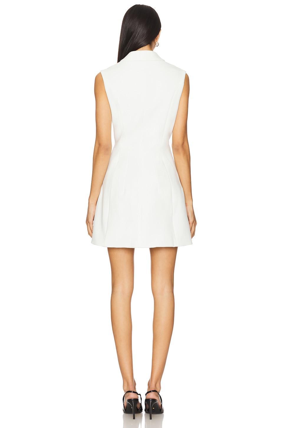Destene Hourglass Mini Dress Bardot Product Image