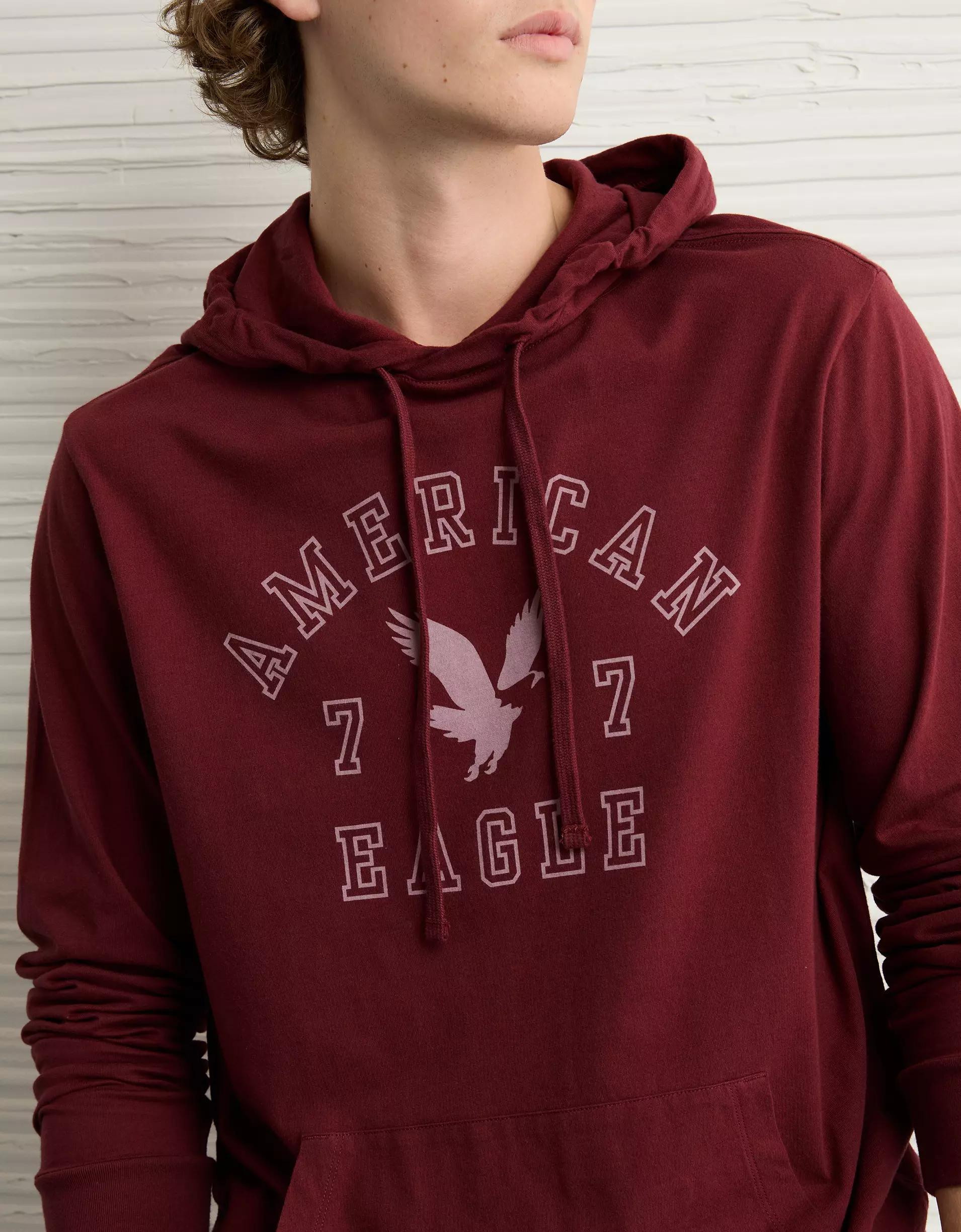 AE Icon Logo Graphic Hoodie T-Shirt Product Image