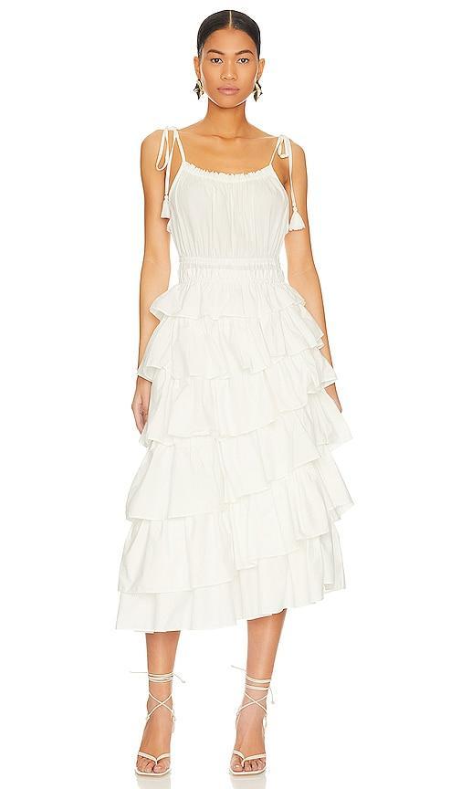 Mireya Midi Dress Steve Madden Product Image