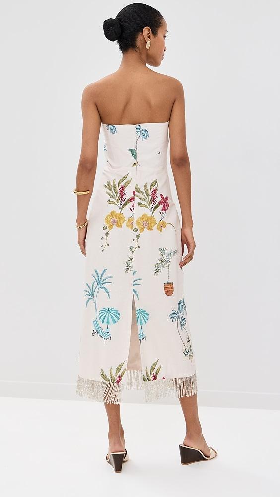 Isla & White Agape Dress | Shopbop Product Image