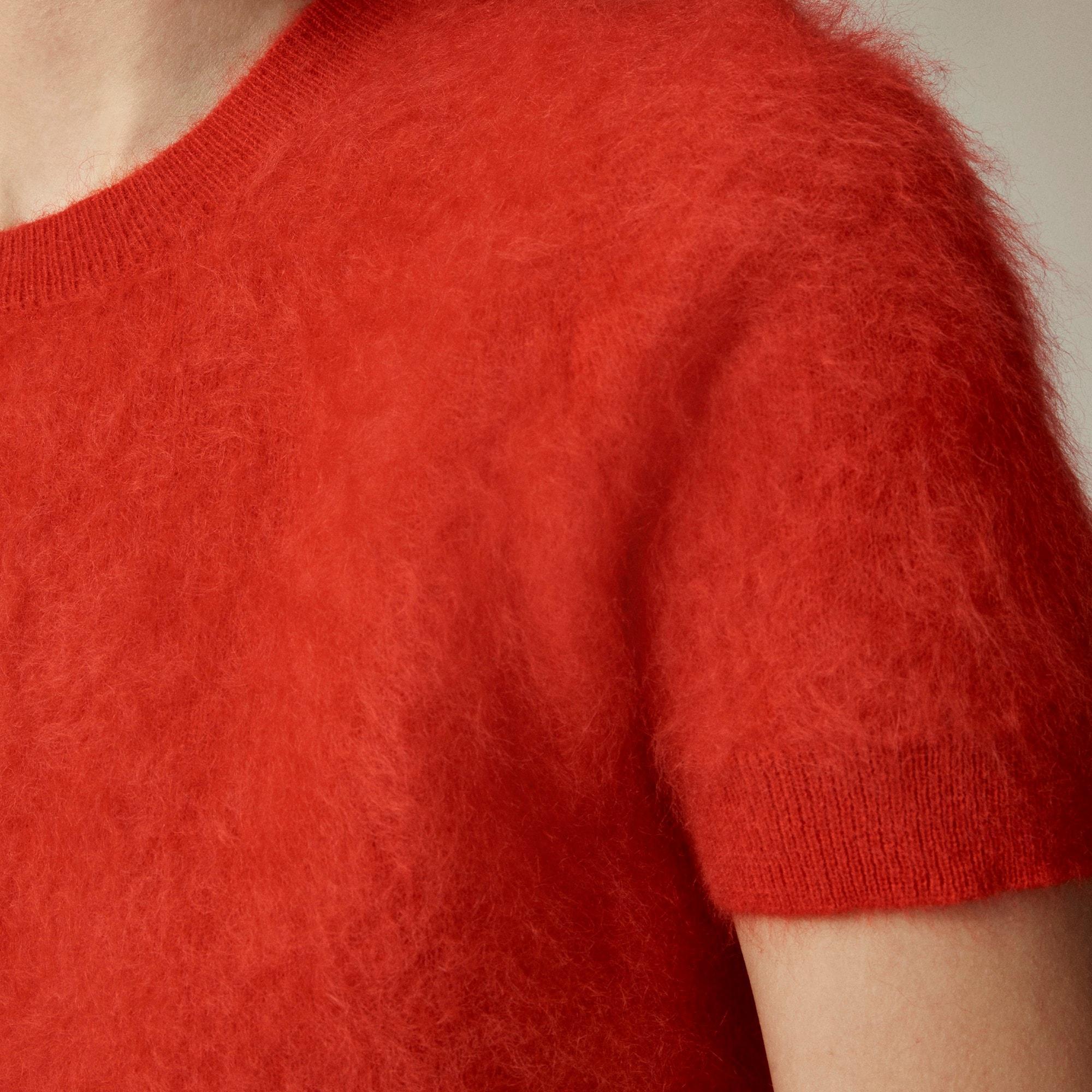 Brushed cashmere T-shirt Product Image