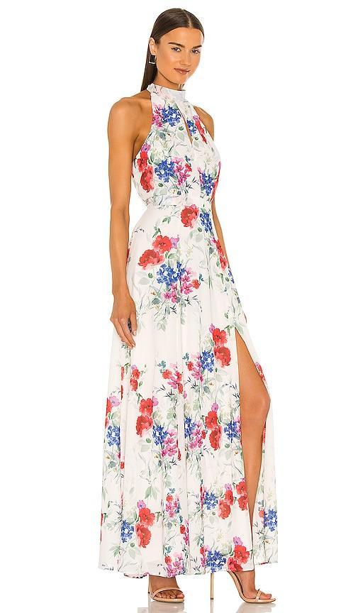 High Demand Maxi Dress Product Image