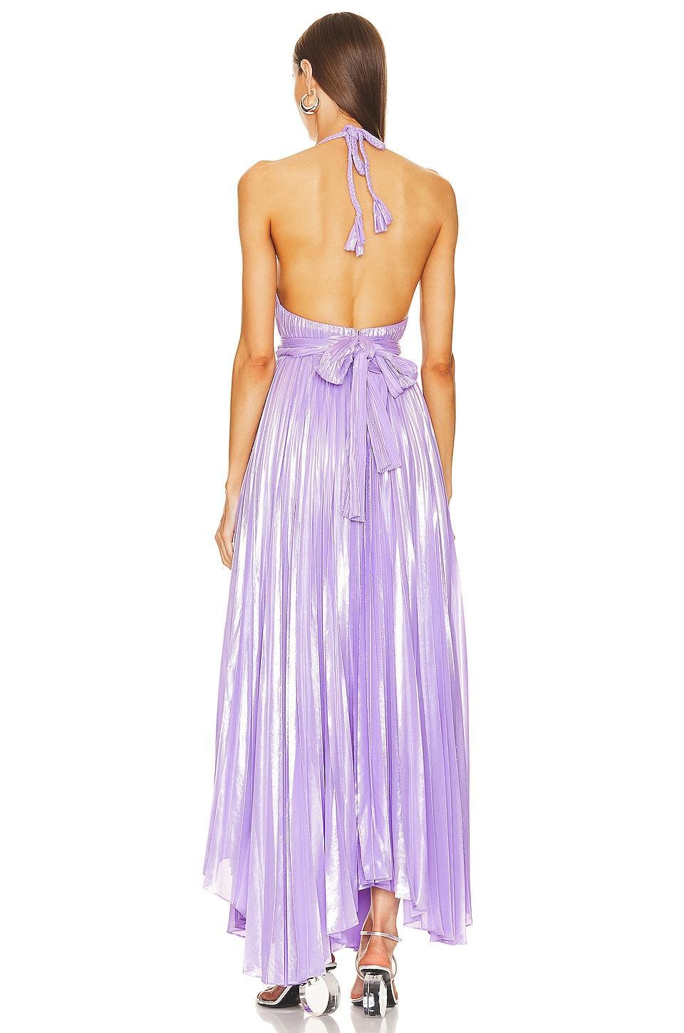 Arista Sleeveless Pleated Maxi Dress Product Image