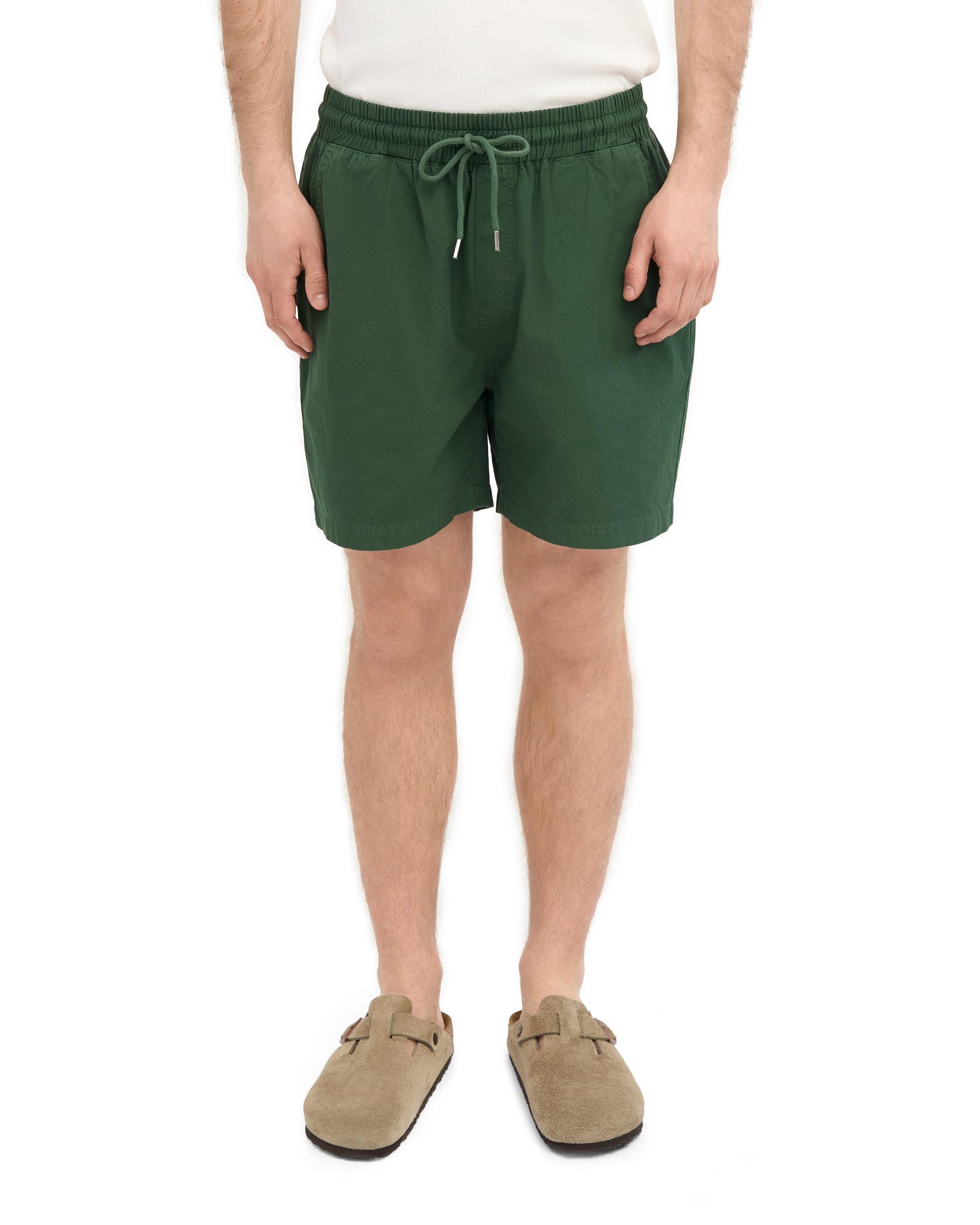 Organic Twill Shorts - Oxblood Red Product Image