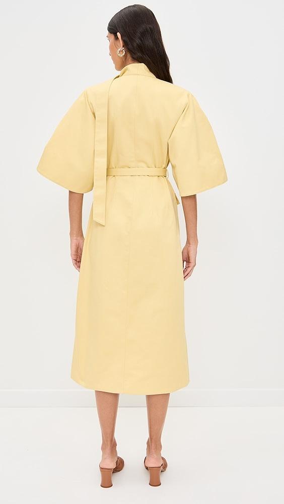 ALEXIS Ilardi Dress | Shopbop Product Image