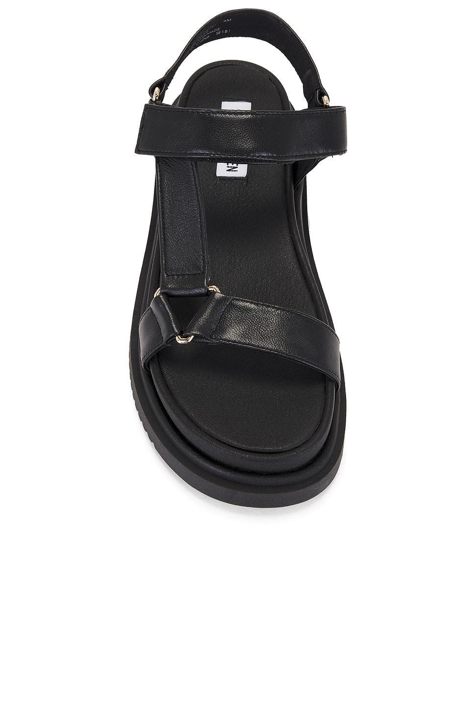 Matina Sandal Steve Madden Product Image