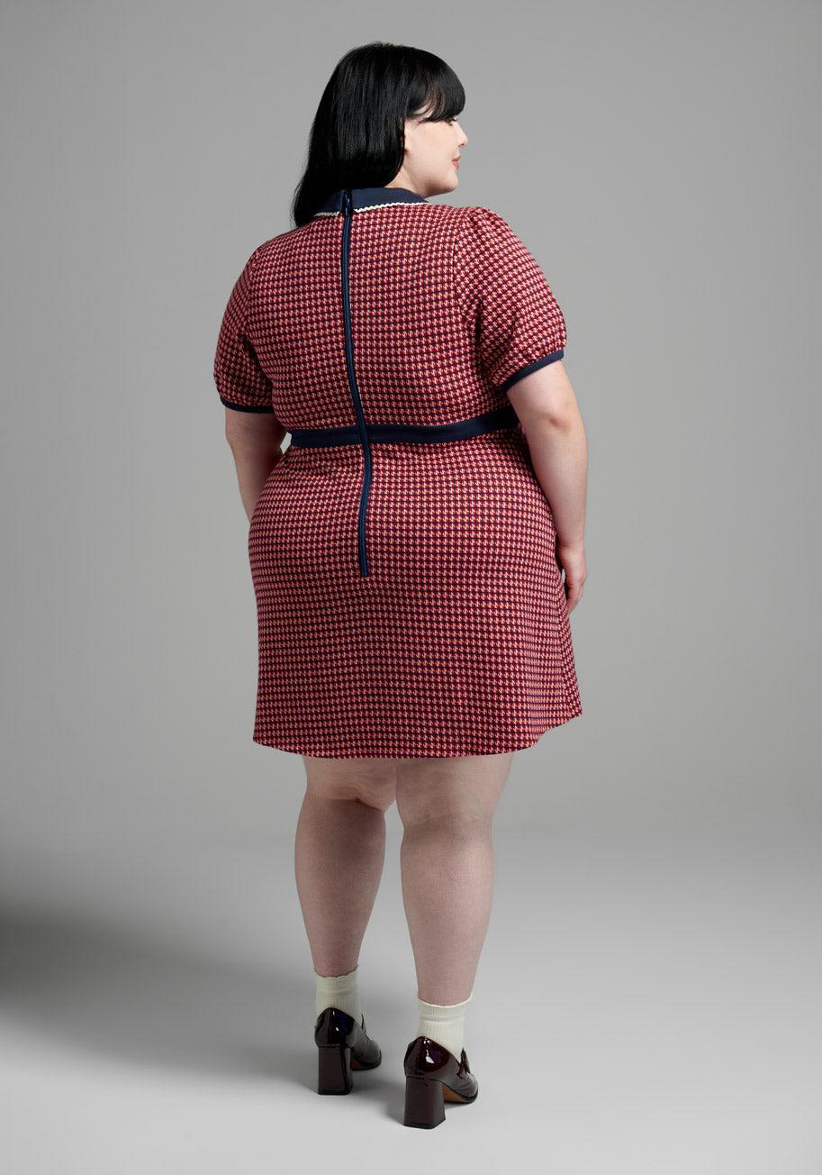 Scholastic Classic Collared Mini Dress Product Image