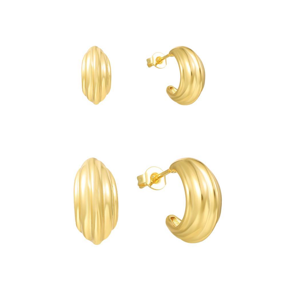 Heart and Soul Earrings Product Image