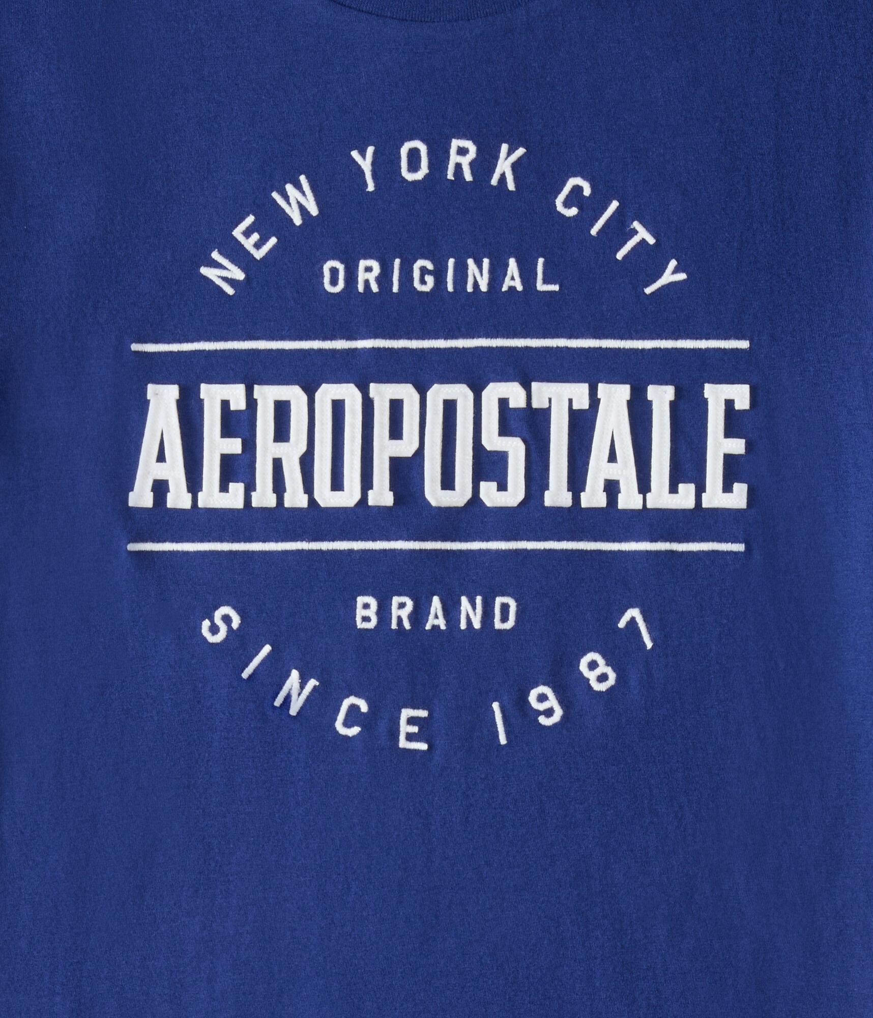 Aeropostale NYC Circle Appliqué Graphic Tee Product Image