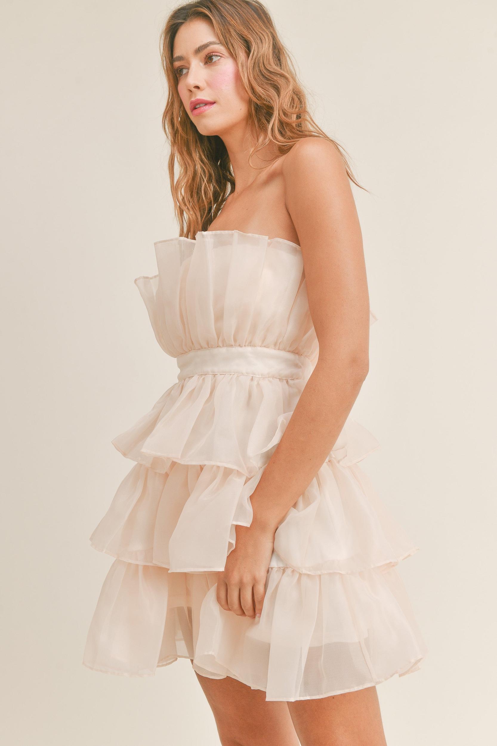Organza Tulle Tiered Mini Dress Product Image