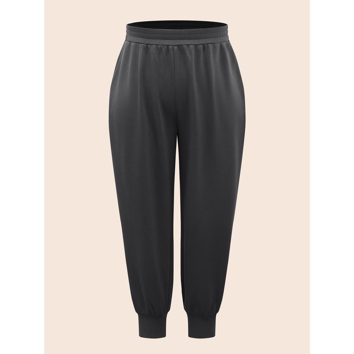 Plus Size Solid Elastic Waist Carrot Pants Women DimGray Casual Mid Rise Everyday Pants BloomChic 12/L Product Image
