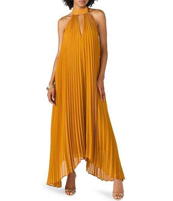 Steve Madden Maraya Woven Mesh Halter V-Neck Open Back Pleated Maxi Dress Product Image