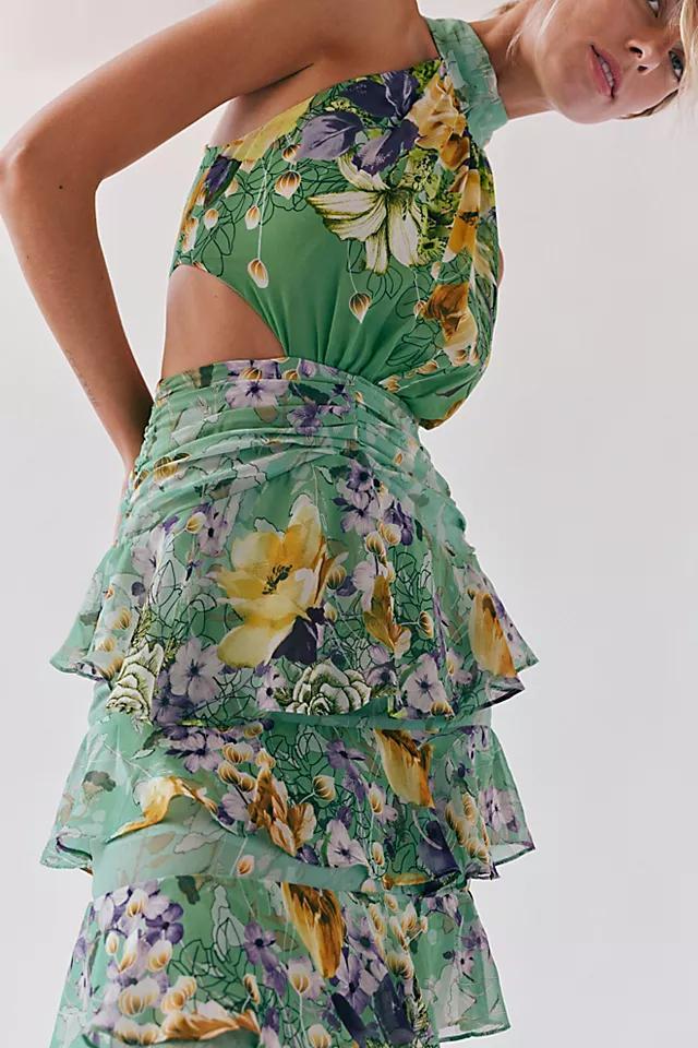 Elliatt Gardenia Gown Product Image