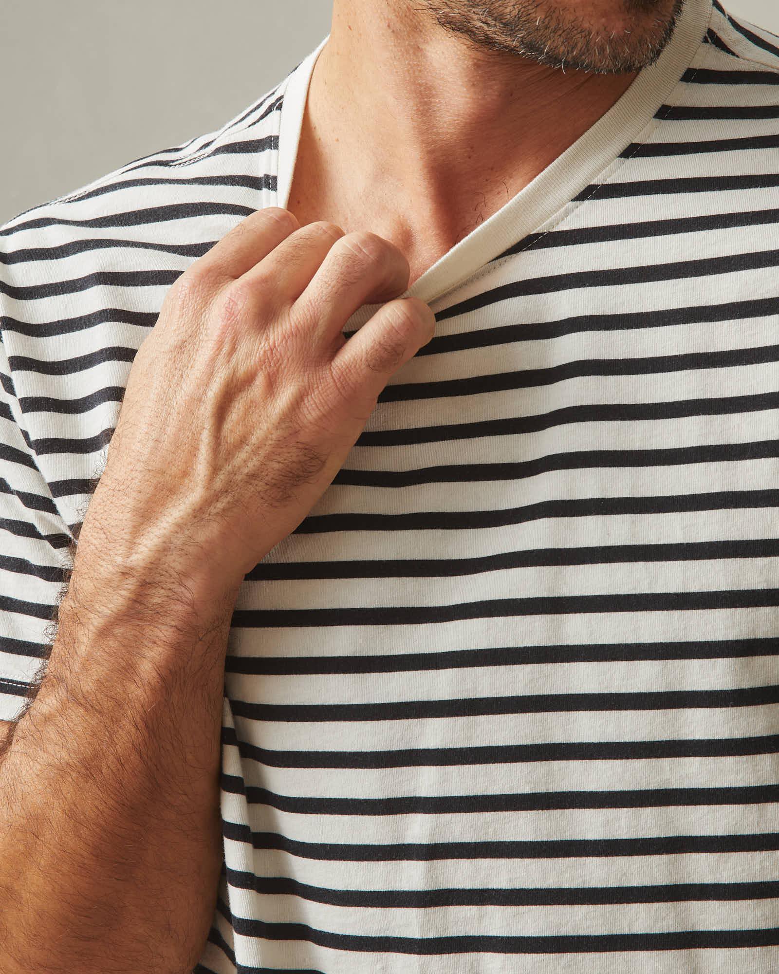 Men's Classic Cotton Crew Tee - Striped - Navy Stripe Male Product Image