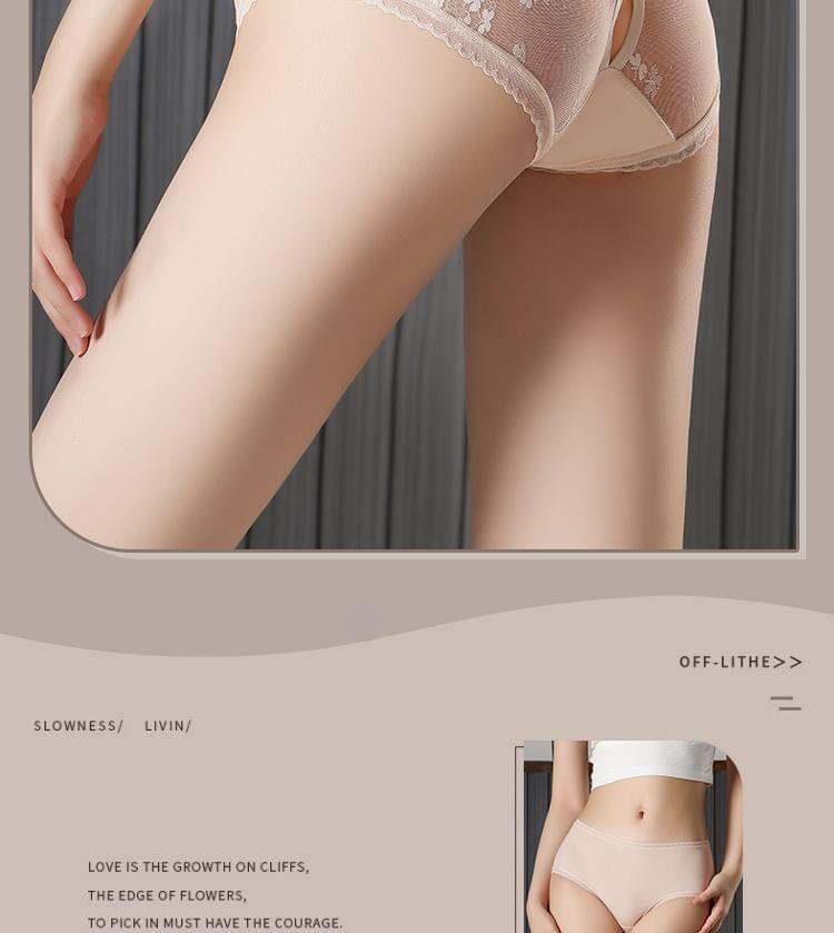 Butterfly Print Lace Trim Mesh Panel Bikini Panties Product Image