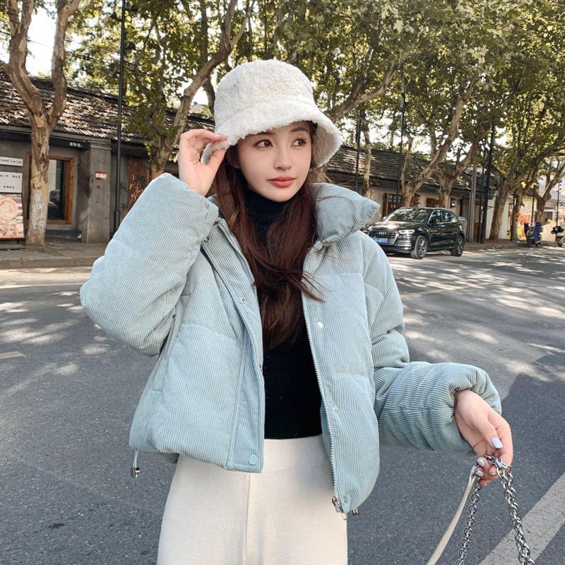 Plain Single-Breasted Puffer Jacket Product Image