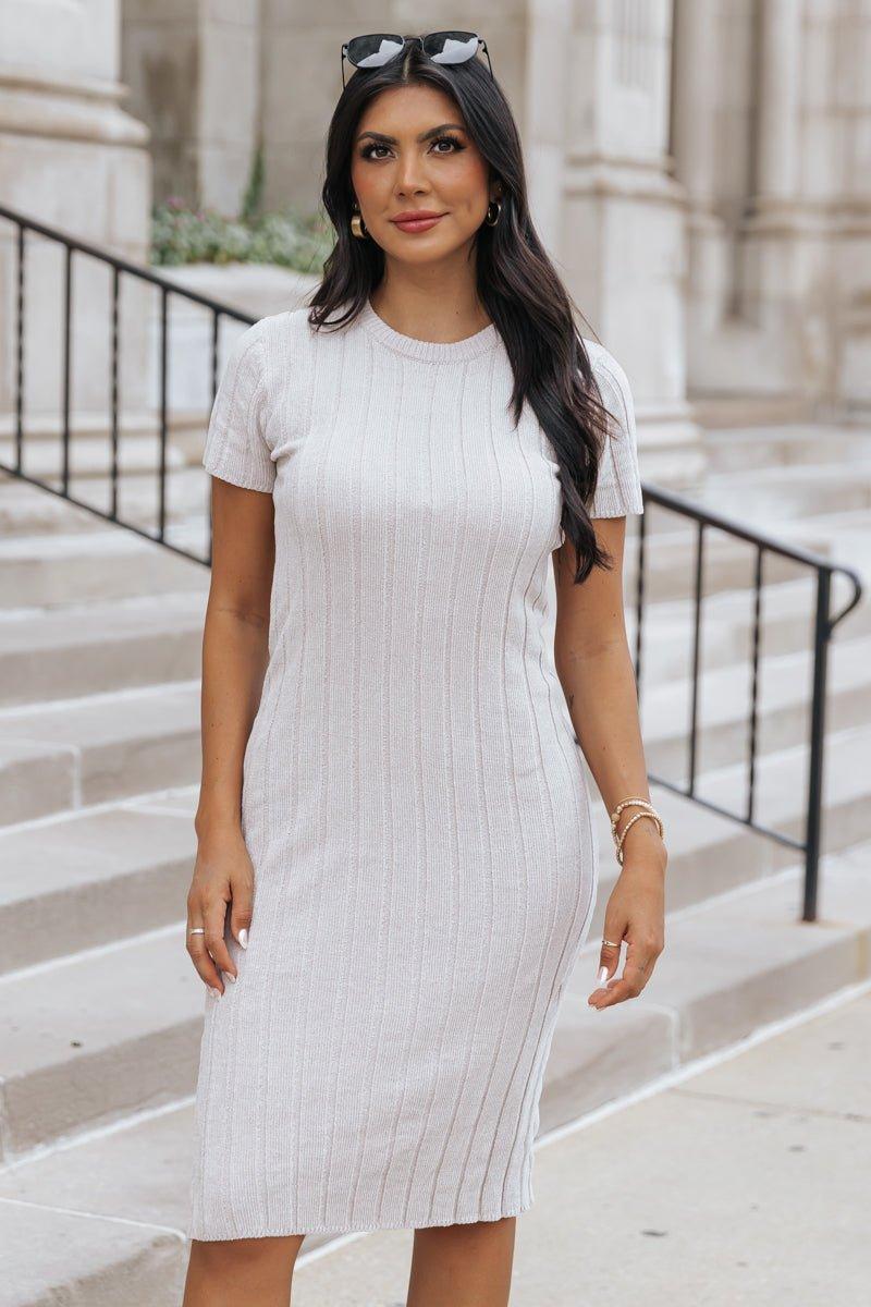 Light Grey Chenille Sweater Dress - FINAL SALE Female Product Image