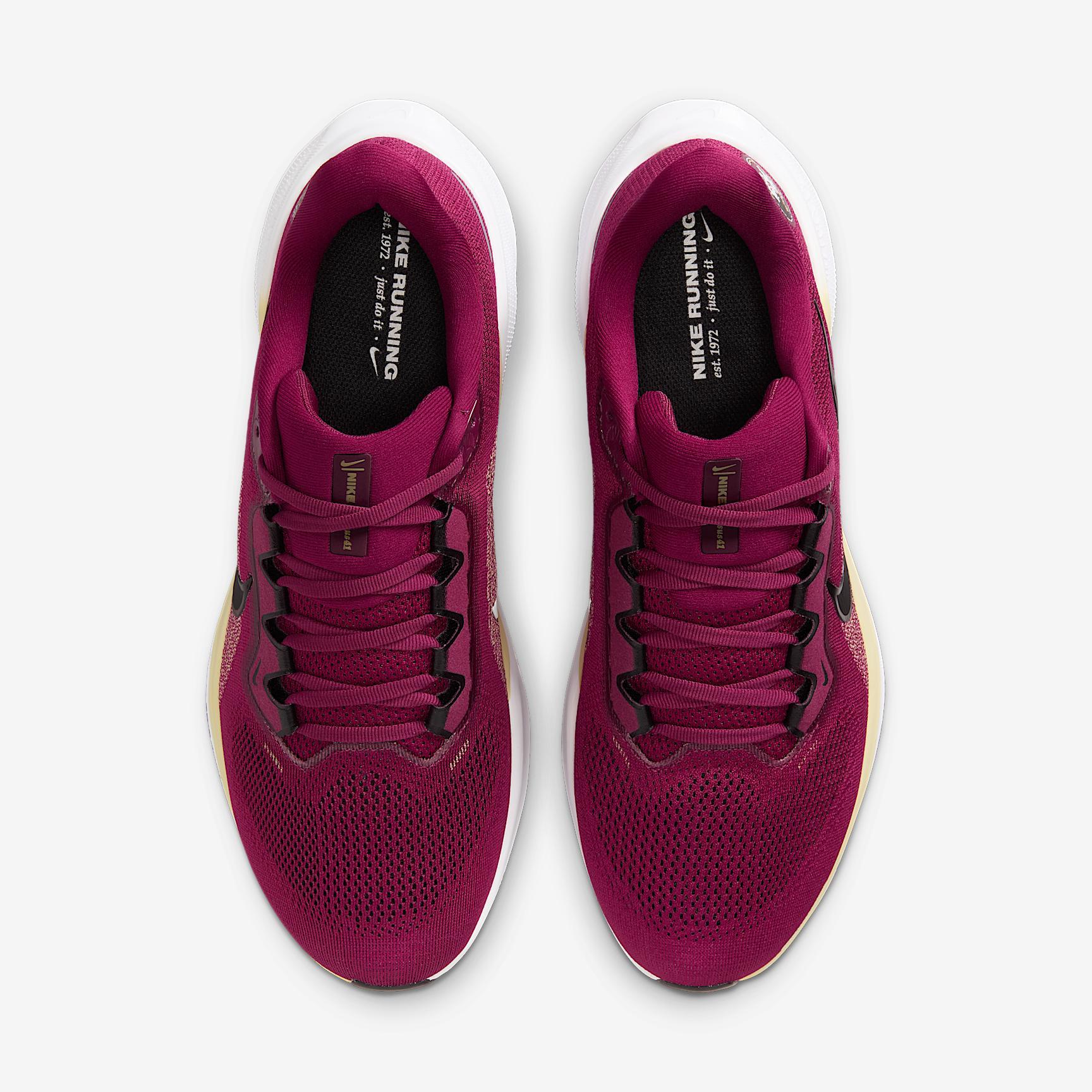 Florida State Pegasus 41 Men's Nike College Road Running Shoes Product Image